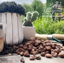 Large LECA Clay Pebbles |