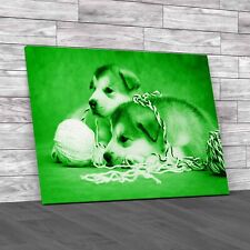 Cute Malamute Puppies Rest