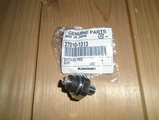 Kawasaki 1981-2021 Genuine Oil