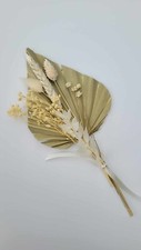 Natural Palm Spear and Dried