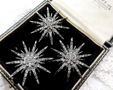 💗 Beautiful Statement Bird