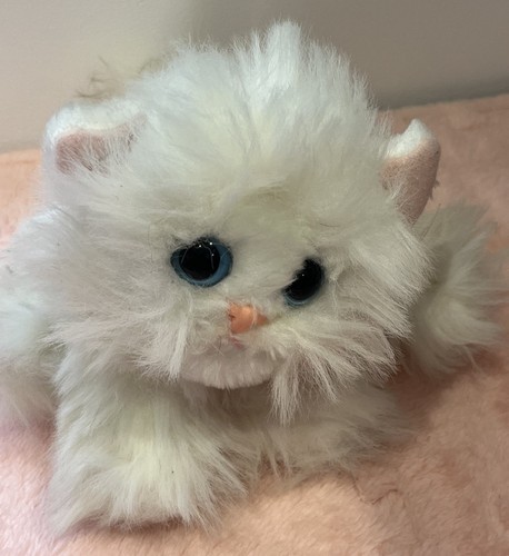 Rare dsi kitty kittens - rare,
