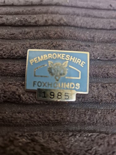 Fox hunting pembrokeshire - fox,