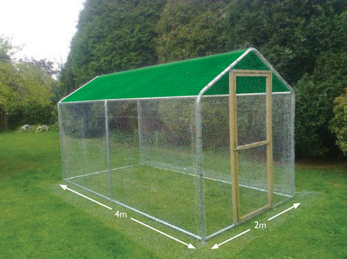 Walk chicken run steel - walk,