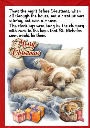 Chinese crested dog x - a6,