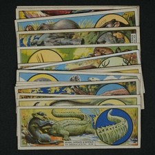 Typhoo Tea - Animal Offence & Defence - Pick Your Card - Buy 1 Get 1 50% Off