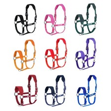 Gallop Horse Halter Enhanced