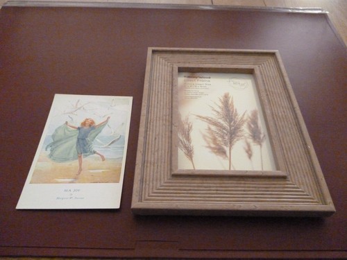Margaret tarrant sea joy - tarrant,