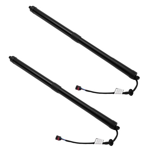 Electric tailgate gas - tailgate,