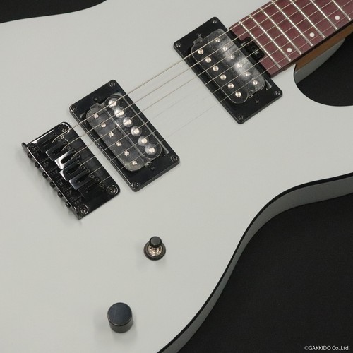 Charvel standard san - standard,