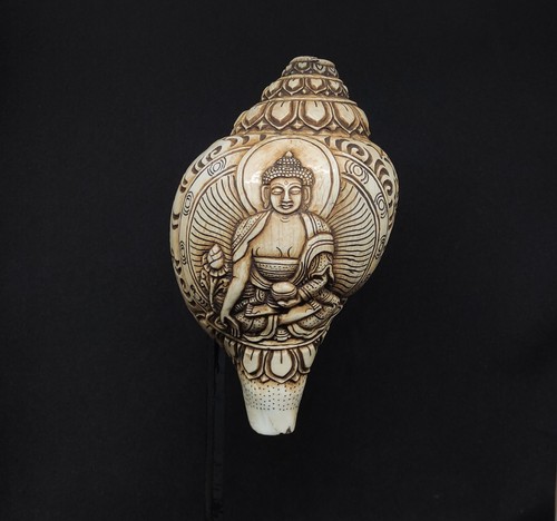 Buddhist ritual trumpet conch - ritual,