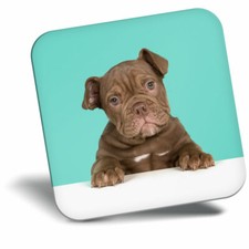 Awesome Fridge Magnet - Cute Old English Bulldog Puppy Dog Cool Gift #21422