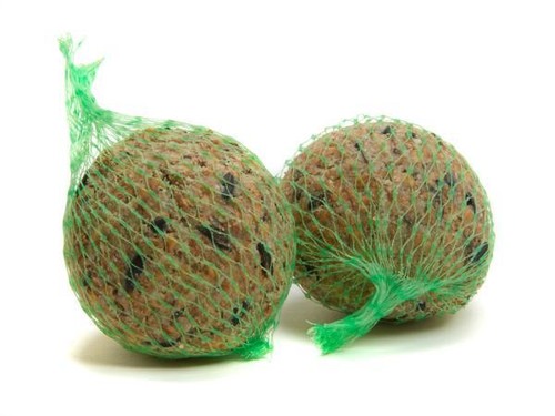 10x large fat balls - 10x,