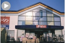 Tested [MINT w/ Case] Konica