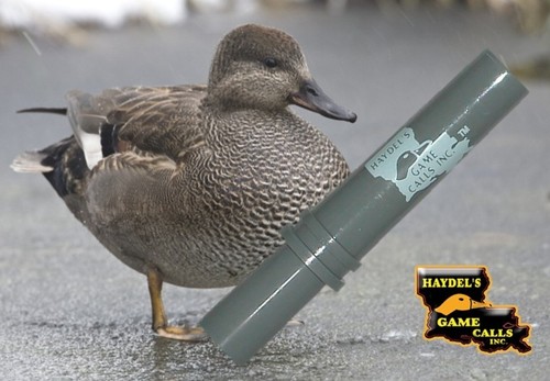 Duck call gadwall - call,