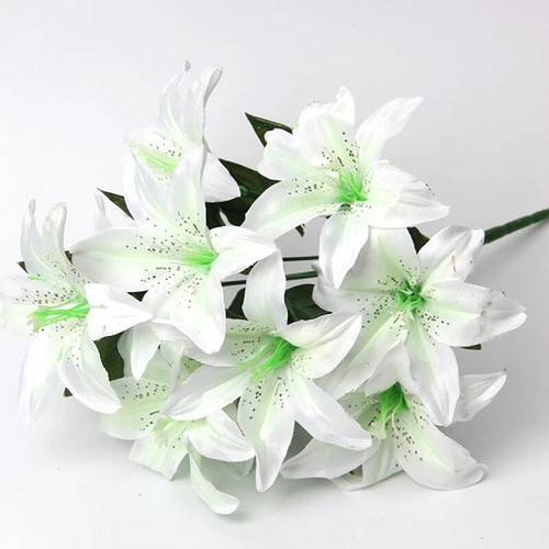 10heads artificial stargazer - 10heads,