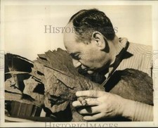 1941 Press Photo Buyer Sniffs
