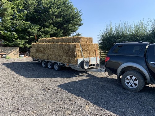 Wheat straw conventional - wheat,