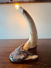 Handmade Driftwood Table Lamp