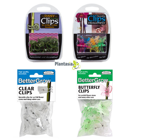 Orchid plant clips - plant,
