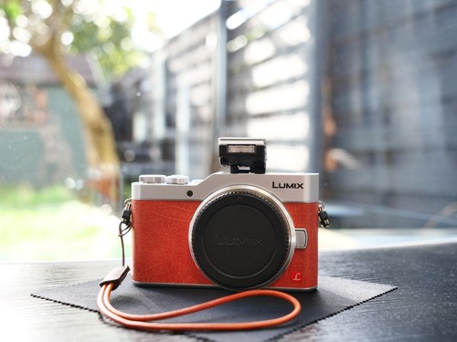 Panasonic lumix gx800 - panasonic,