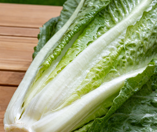 Lettuce valmaine salad - salad,