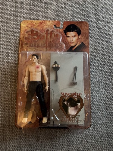 Buffy the vampire slayer angel - the,