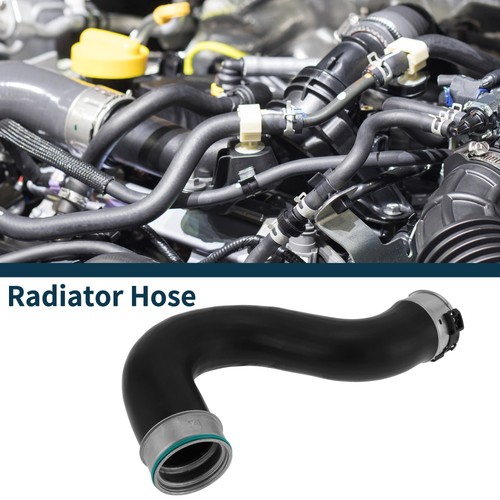 Radiator hose for - radiator,