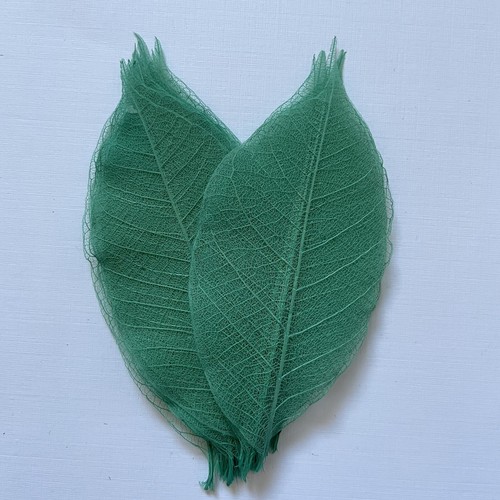 Pack skeleton leaves 2 - pack,