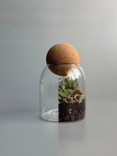 Glass storage jars - jars, cork