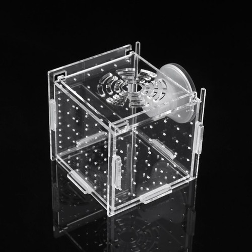 Fish separation breeder box - fish,