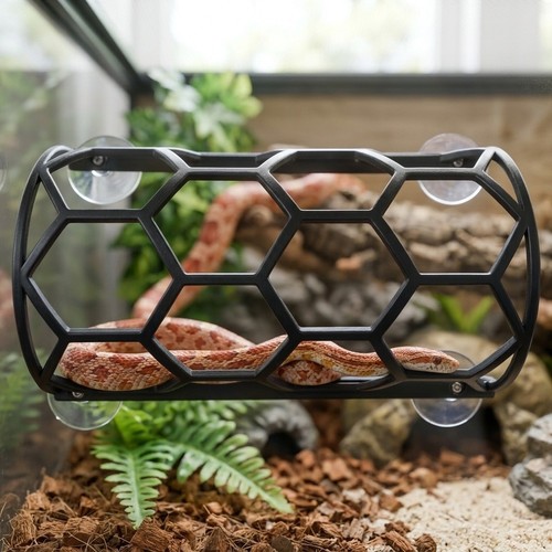 Terrarium climbing for - terrarium,
