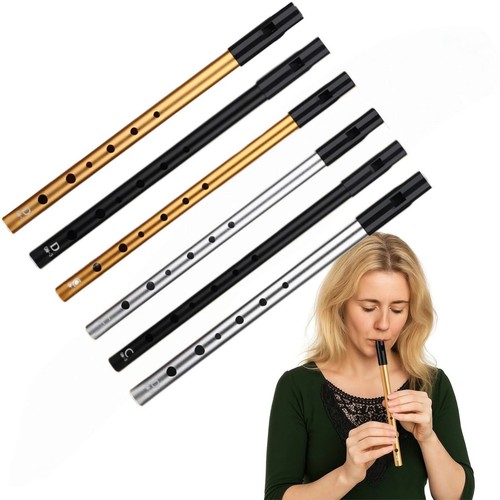 Irish whistle flute key - whistle,