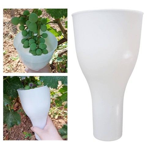 Grape dipping cup - grape, gardening