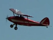 Gigi / Dave Thomas ~ RC 36"