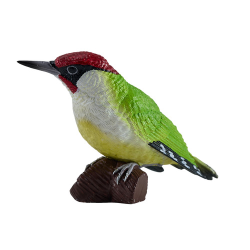 Mojo green woodpecker - woodpecker, |