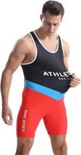Viisendy Pro Wrestling