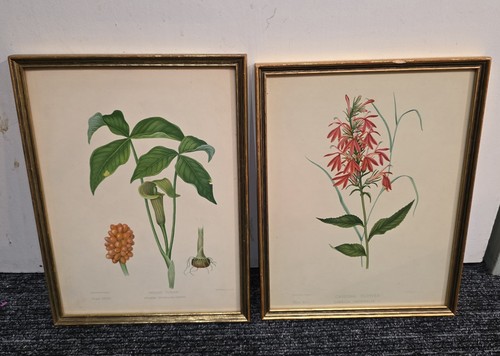 Isaac sprague lithograph - 2,