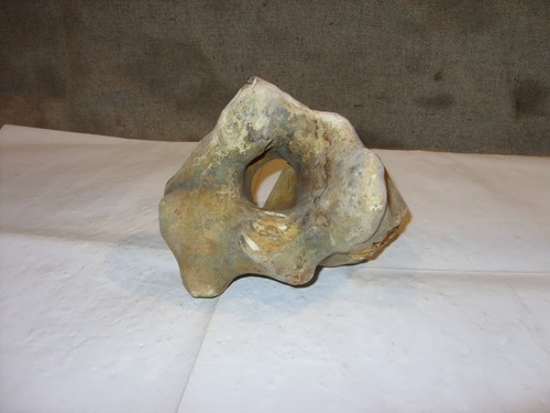 Flint hag stone - flint,