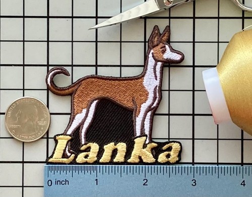 Ibizan hound dog - dog, patch