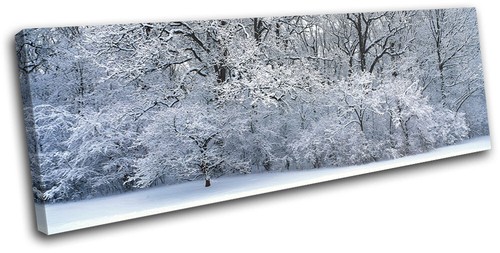 Snowy forest landscapes single - snowy,
