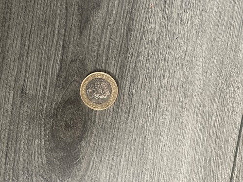1807 pound coin 2007 - 1807,
