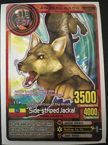 Animal kaiser plus - plus, 2