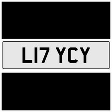 LUCY THEME PRIVATE CAR NUMBER