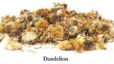 Dried dandelion flowers - flowers, pet
