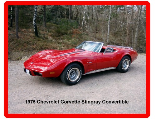 1975 chevrolet corvette - chevrolet,