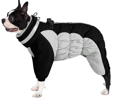 Small medium dog leg - dog, 4