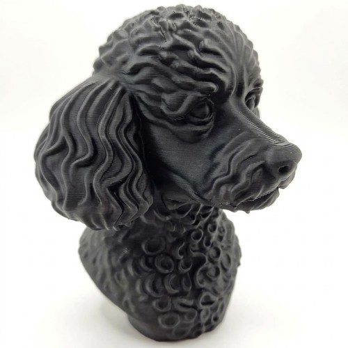 Miniature poodle bust home - ,