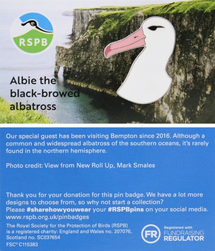 Rspb pin badge - rspb, bempton