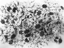 16 x White/Silver Adidas